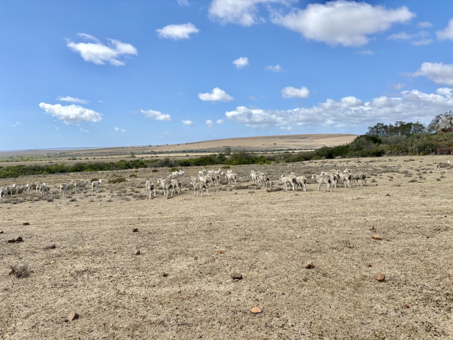 0 Bedroom Property for Sale in Mossel Bay Rural Western Cape